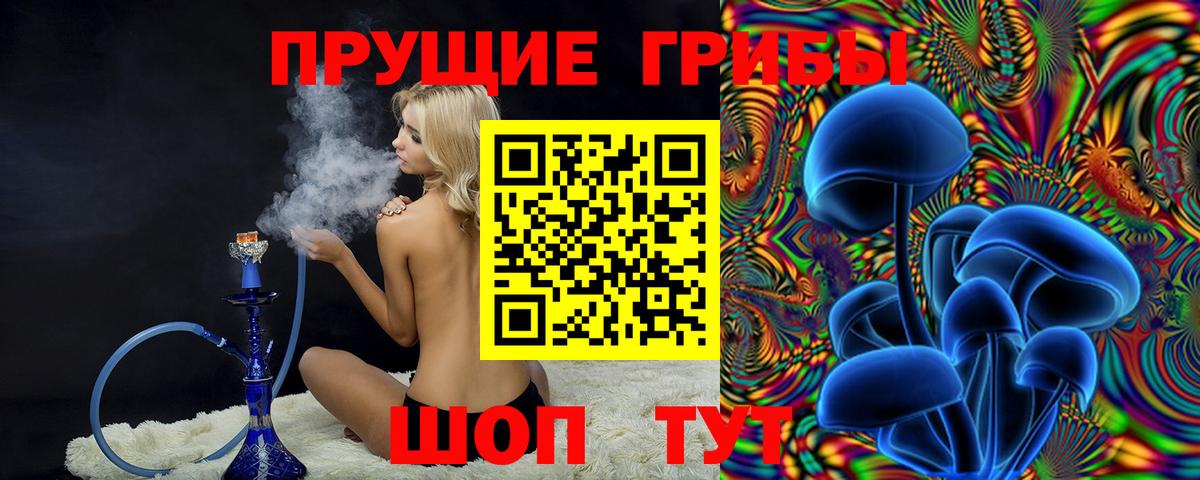 Псилоцибиновые грибы Psilocybine cubensis Михайловск