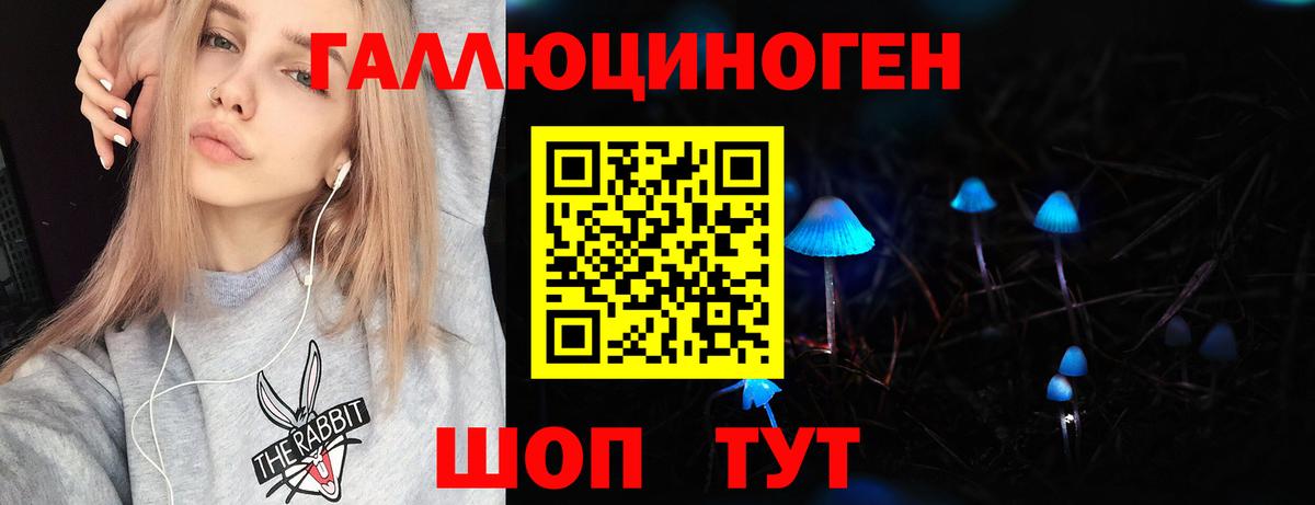 Псилоцибиновые грибы Psilocybine cubensis  Вход с VPN  Михайловск 